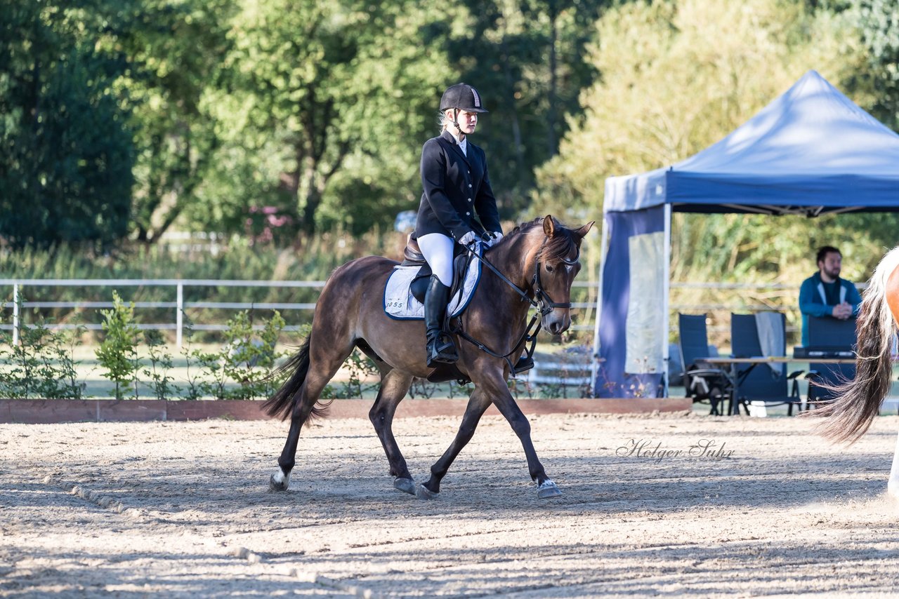 Bild 25 - Pony Akademie Turnier